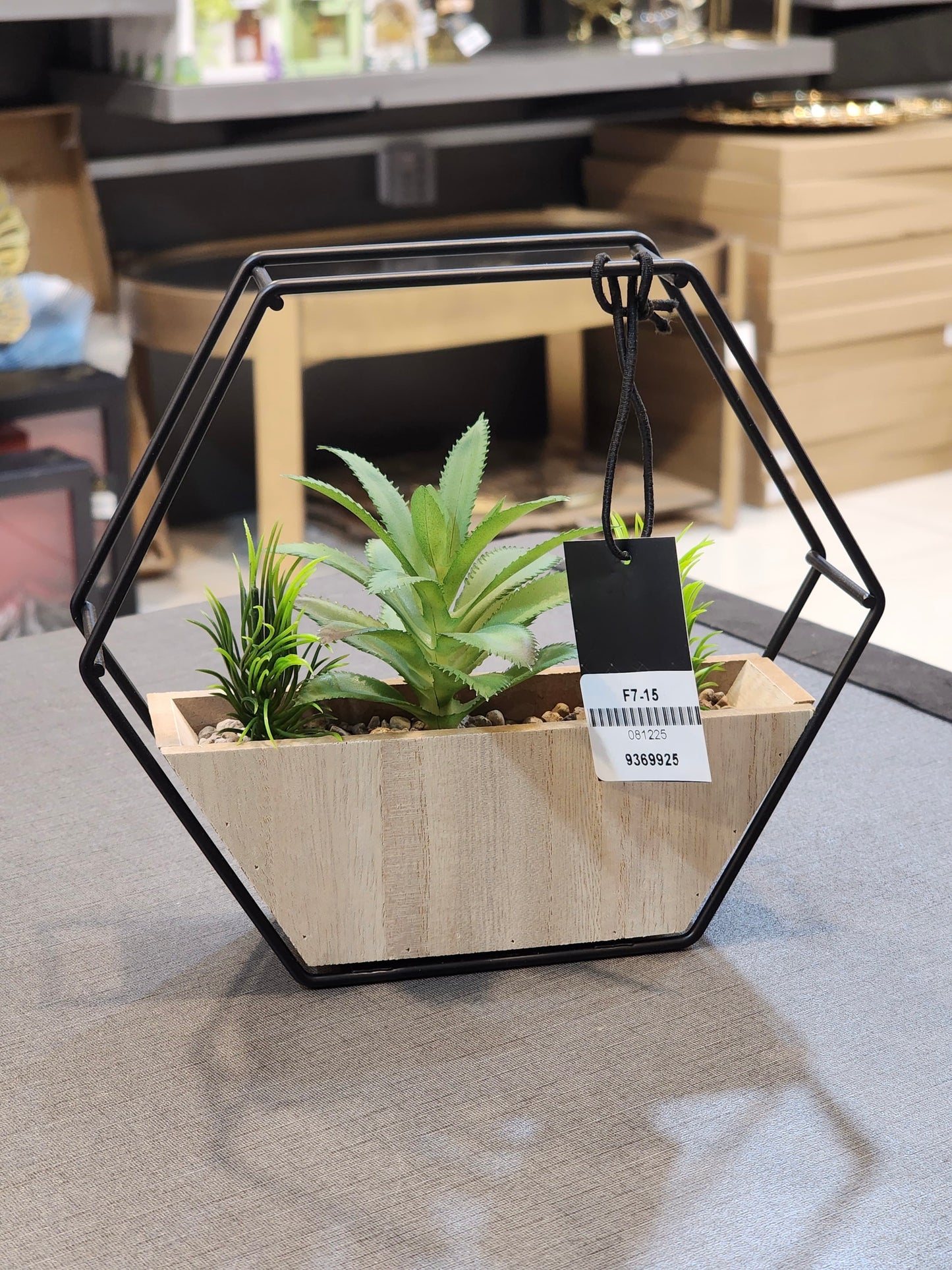 Hexagonal Wire Frame Planter