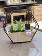 Hexagonal Wire Frame Planter