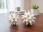 Ceramic Sea Urchin Sculptures ( Black & White Set )