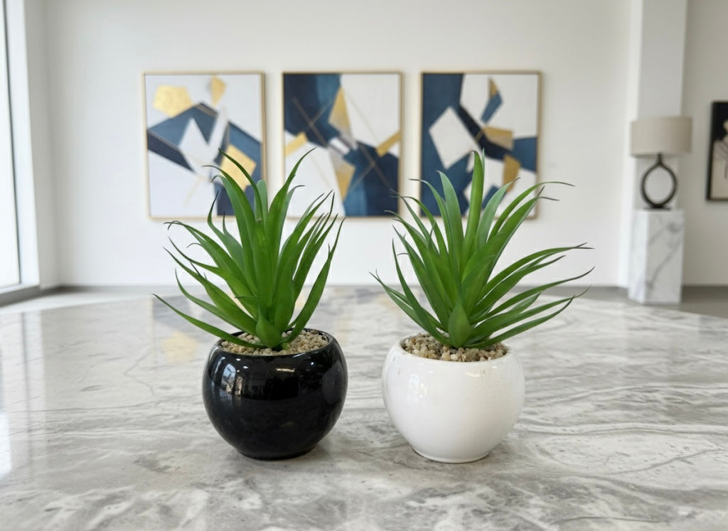 Modern Ceramic Cactus Planters