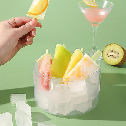 Homemade Mini Popsicle Mold with Storage Container