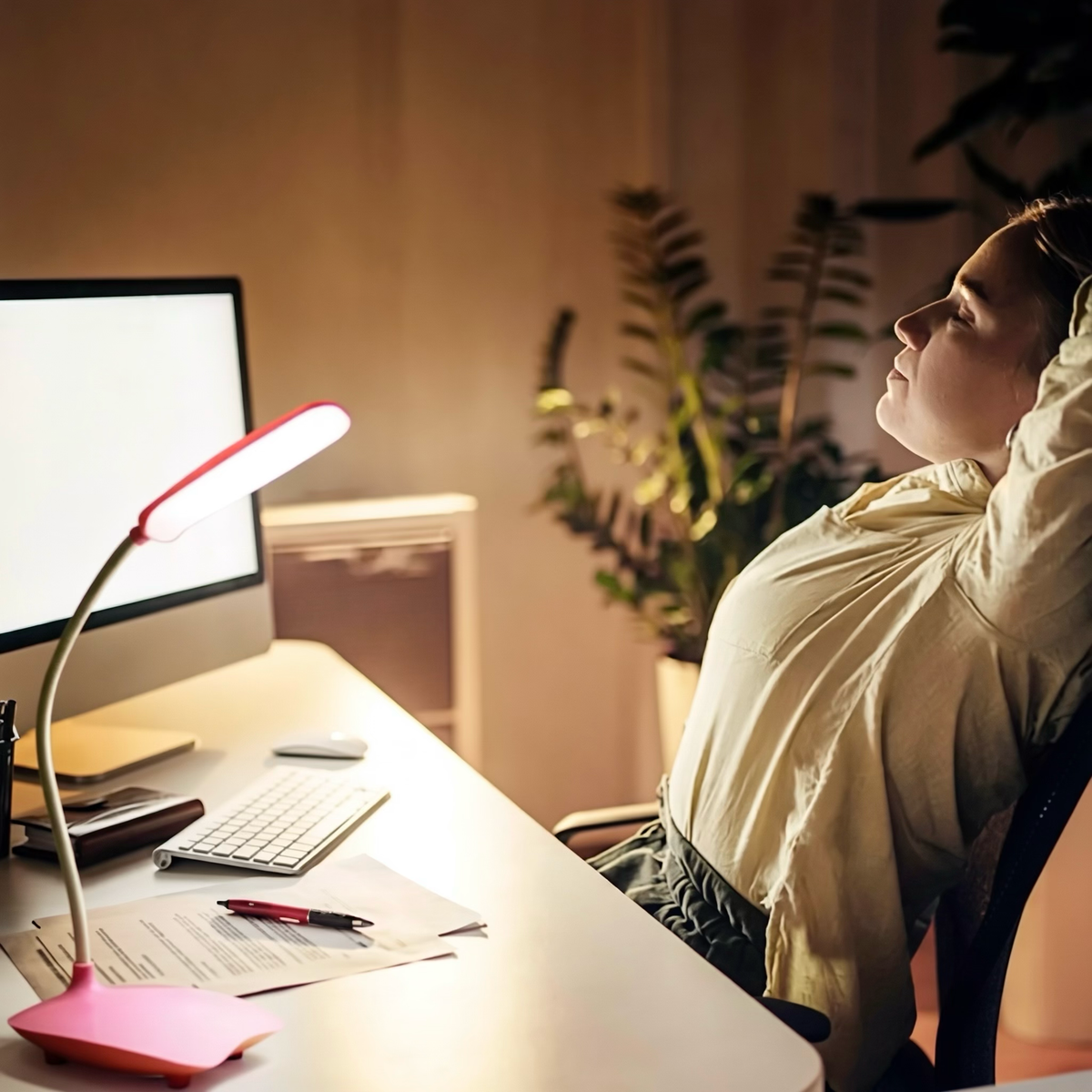 Flexible Gooseneck Rechargeable LED Desk Lamp