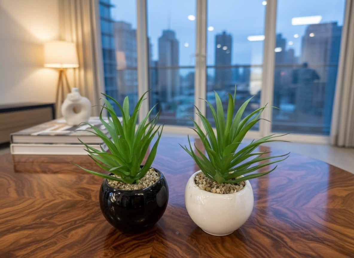 Modern Ceramic Cactus Planters