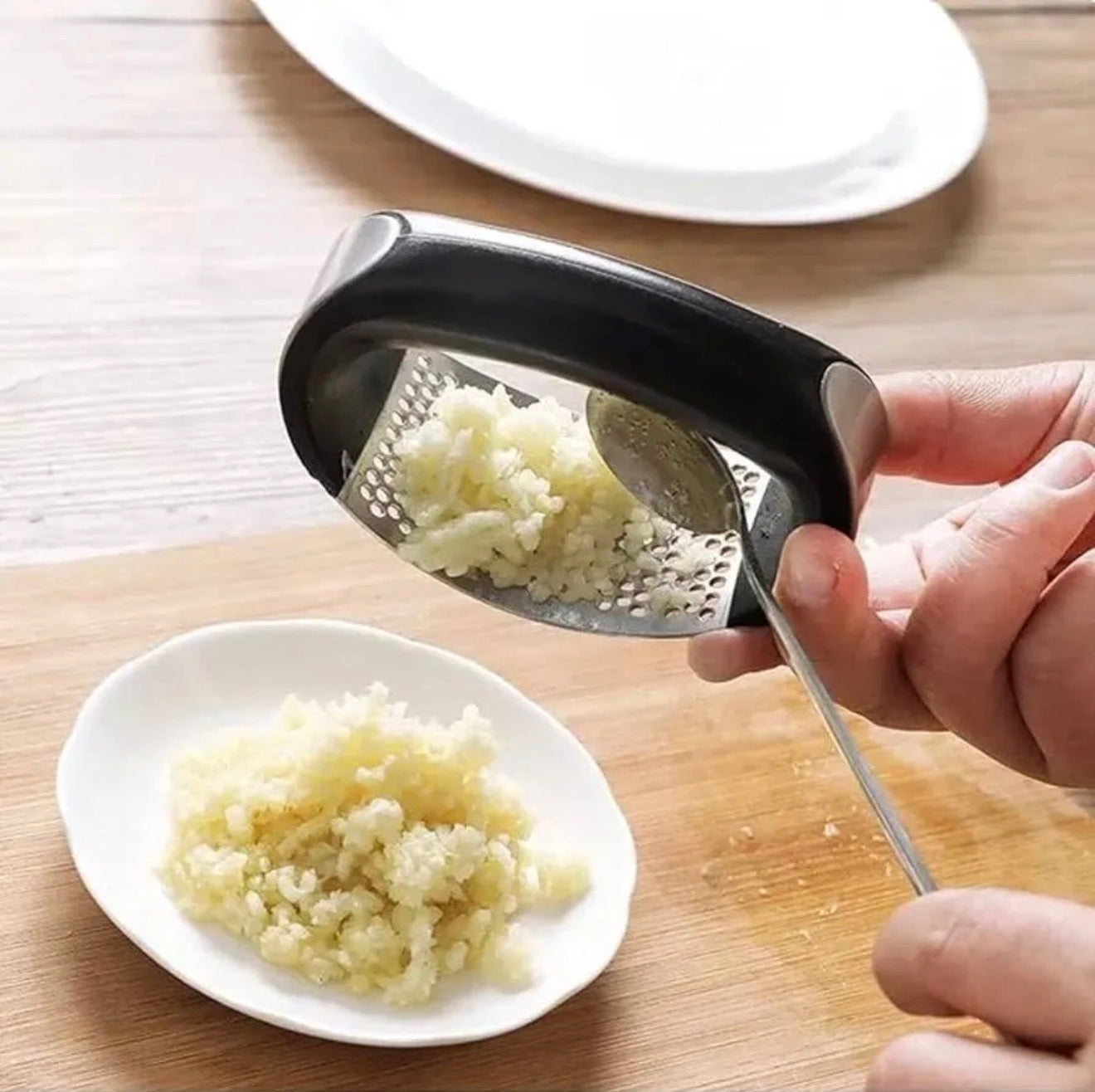 Stainless Steel Rocker Garlic Press