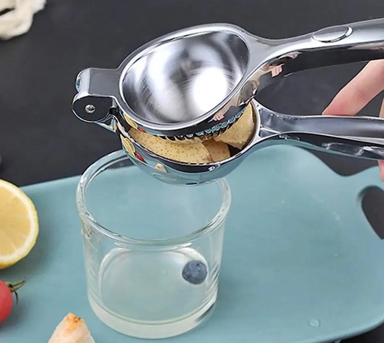Shengya Top Choice Stainless Steel Citrus Press