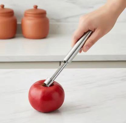 Stainless Steel Fruit Core Remover Cutter