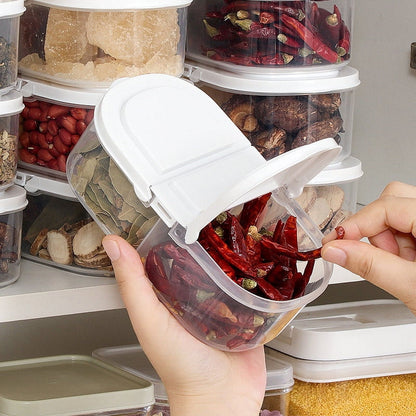 4 Piece Plastic Spice Container Set With 2 Way Lids